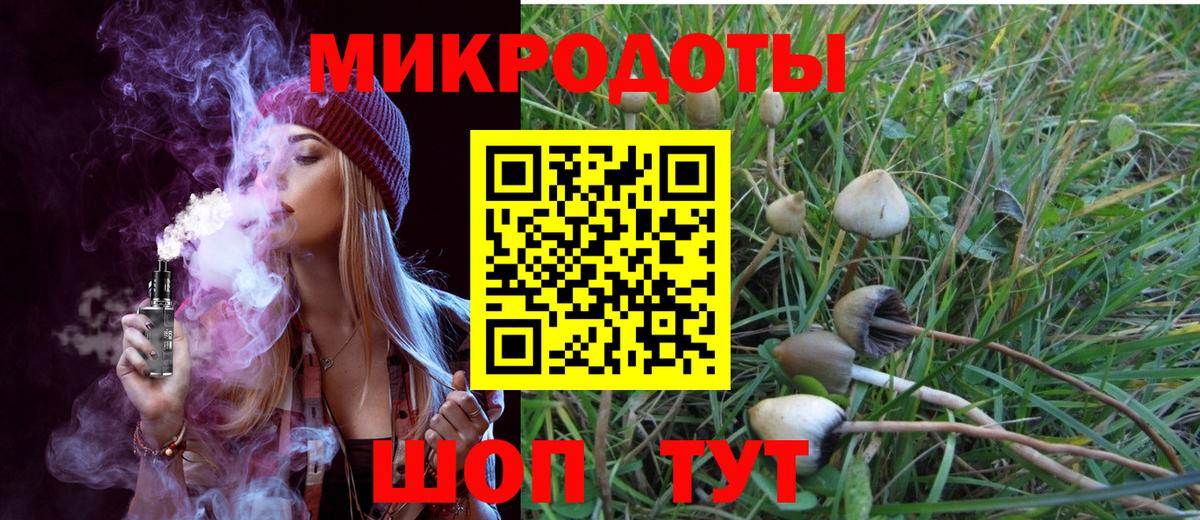 Псилоцибиновые грибы Cubensis  Галлюциногенные грибы прущие грибы  где можно купить   Вход с VPN  Дальнегорск 